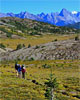 Hiking Canada's Skyline Trail