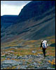 Hiking Arctic Sweden