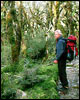 Hiking in New Zealand